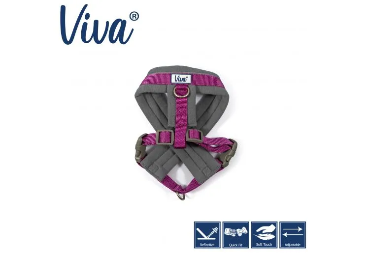 Ancol - Viva Nylon Padded Harness - Cyan - Small (36-42cm)