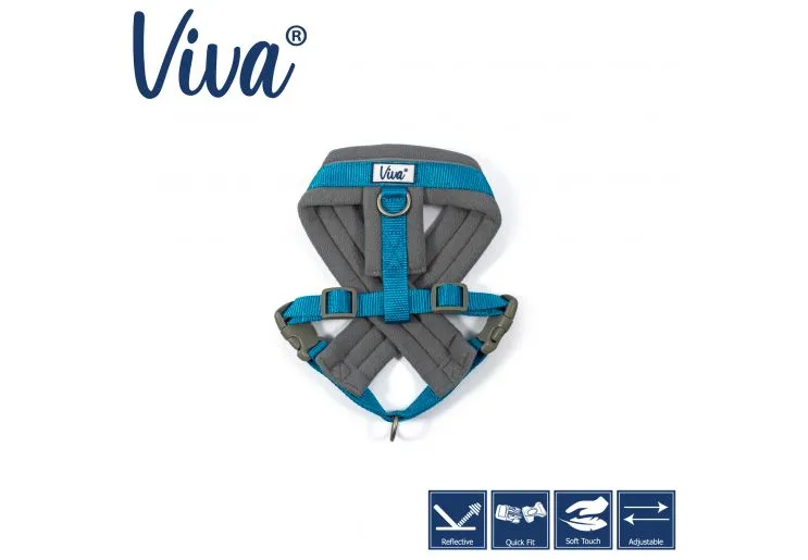 Ancol - Viva Nylon Padded Harness - Cyan - Small (36-42cm)