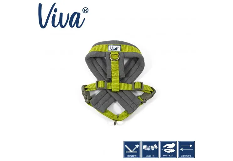 Ancol - Viva Nylon Padded Harness - Cyan - Small (36-42cm)