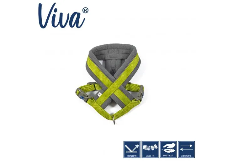 Ancol - Viva Nylon Padded Harness - Lime - Large (52-71cm)