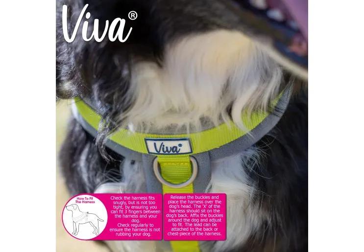 Ancol - Viva Nylon Padded Harness - Lime - Large (52-71cm)