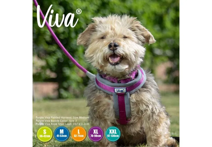 Ancol - Viva Nylon Padded Harness - Lime - Medium (41-53cm)