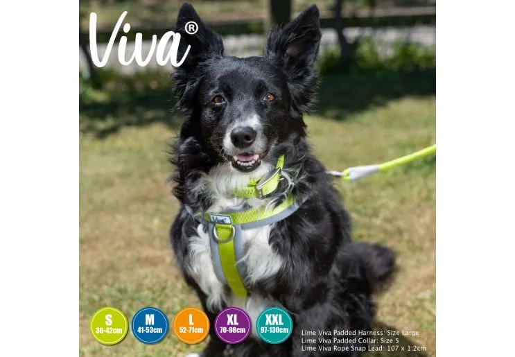 Ancol - Viva Nylon Padded Harness - Lime - Medium (41-53cm)