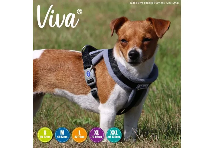 Ancol - Viva Nylon Padded Harness - Lime - Medium (41-53cm)