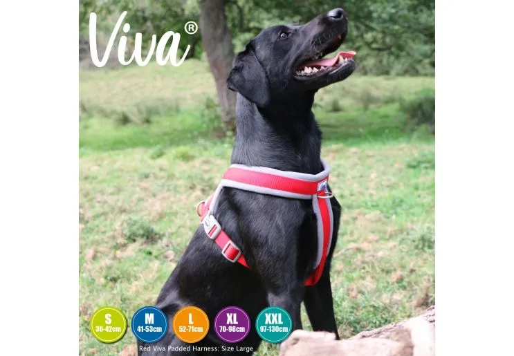 Ancol - Viva Nylon Padded Harness - Lime - Medium (41-53cm)