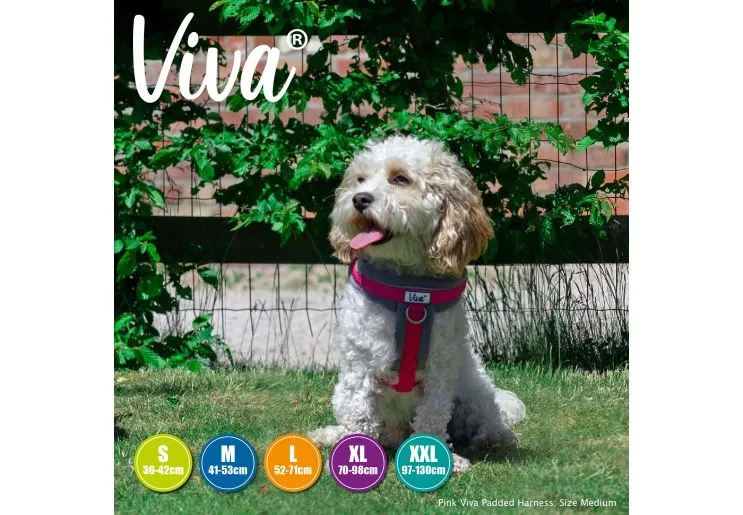 Ancol - Viva Nylon Padded Harness - Lime - XLarge (70-98cm)