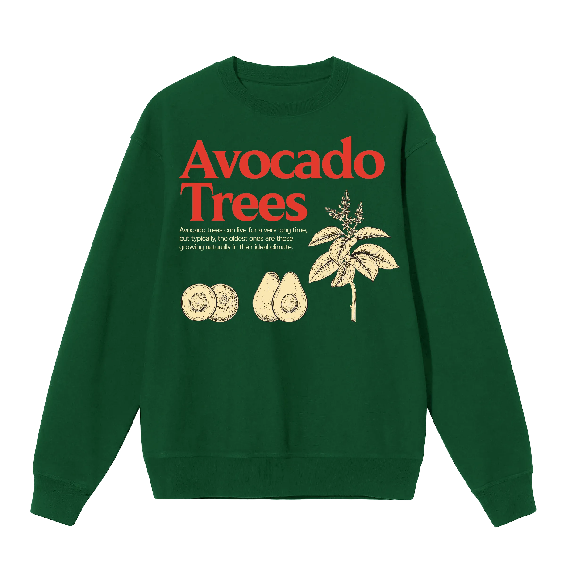 Avocado Trees Crewneck