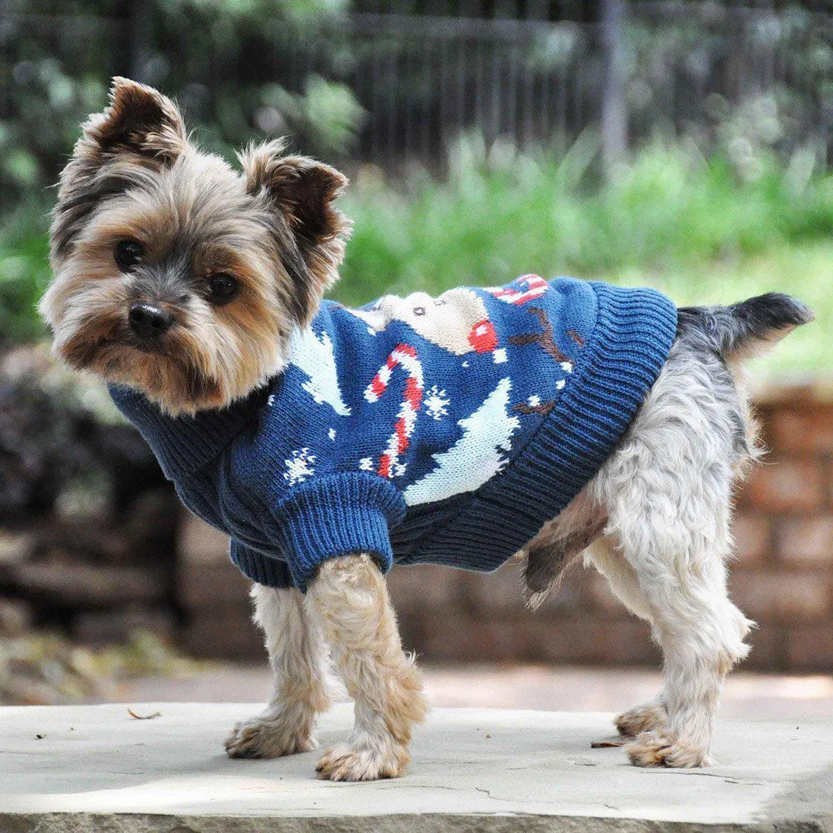 Combed Cotton Ugly Reindeer Holiday Dog Sweater Medium