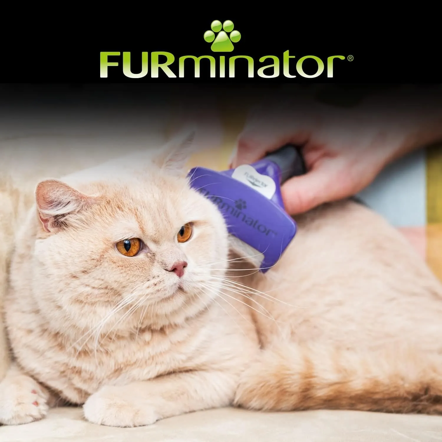 Furminator Undercoat DeShedding Tool for Medium/Large Cat