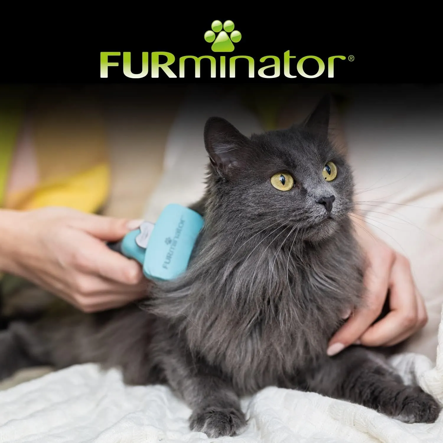 Furminator Undercoat DeShedding Tool for Small Cat