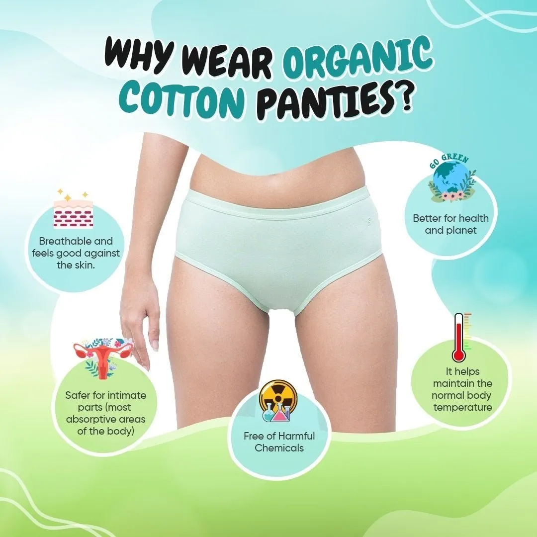 Organic Everyday Hipster Panty- Greenfig (3pc)