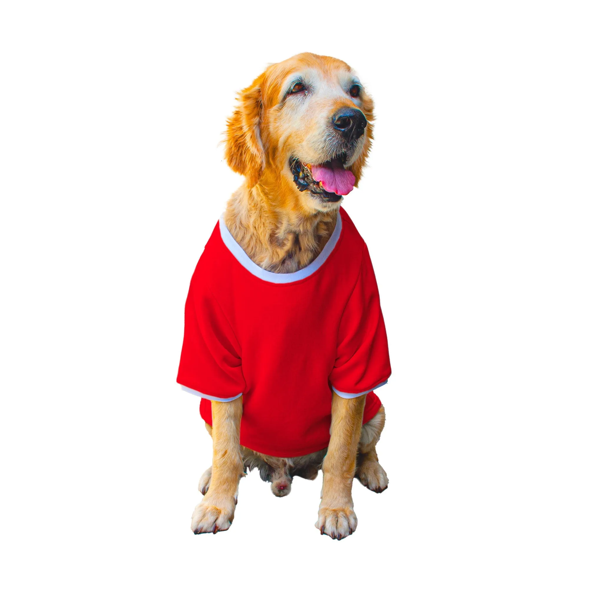 Ruse 'Basics' Solid Crew Neck Full Sleeve Expedition Sweatshirt For Dogs