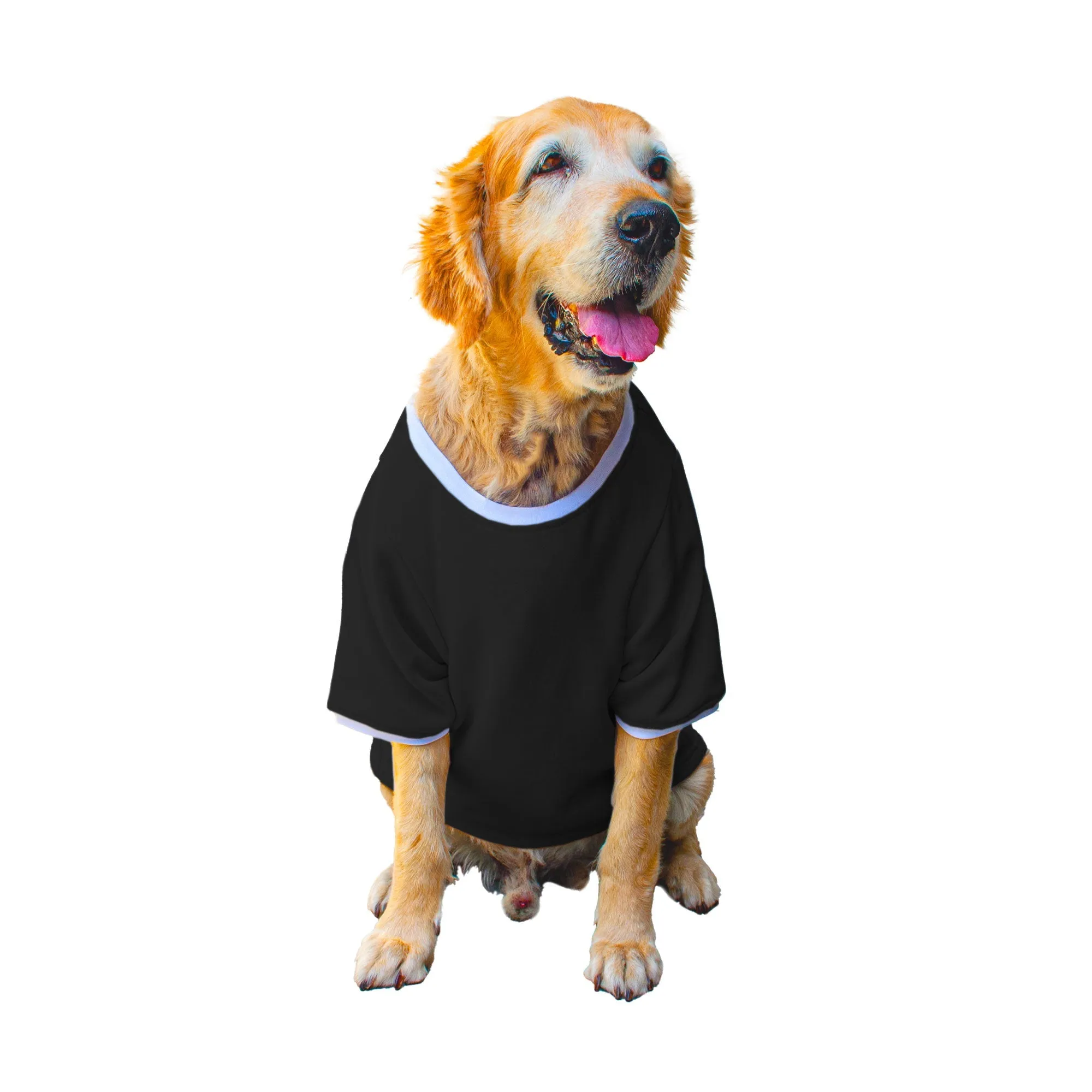 Ruse 'Basics' Solid Crew Neck Full Sleeve Expedition Sweatshirt For Dogs