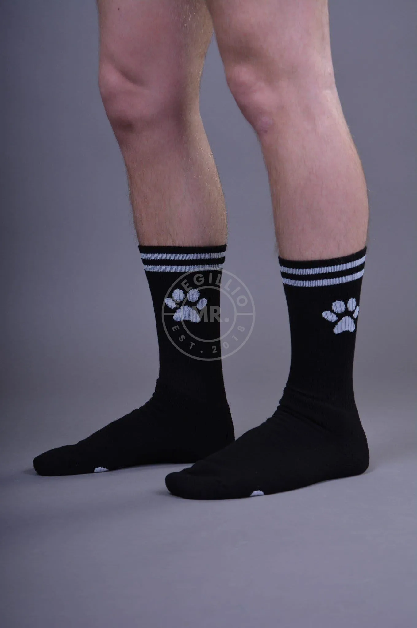 Sk8erboy PUPPY Socks Black