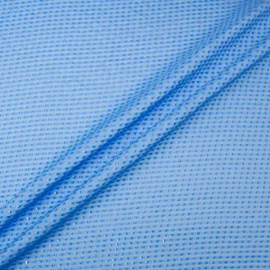 Sky Blue Metallic Striped Jacquard Silk Georgette