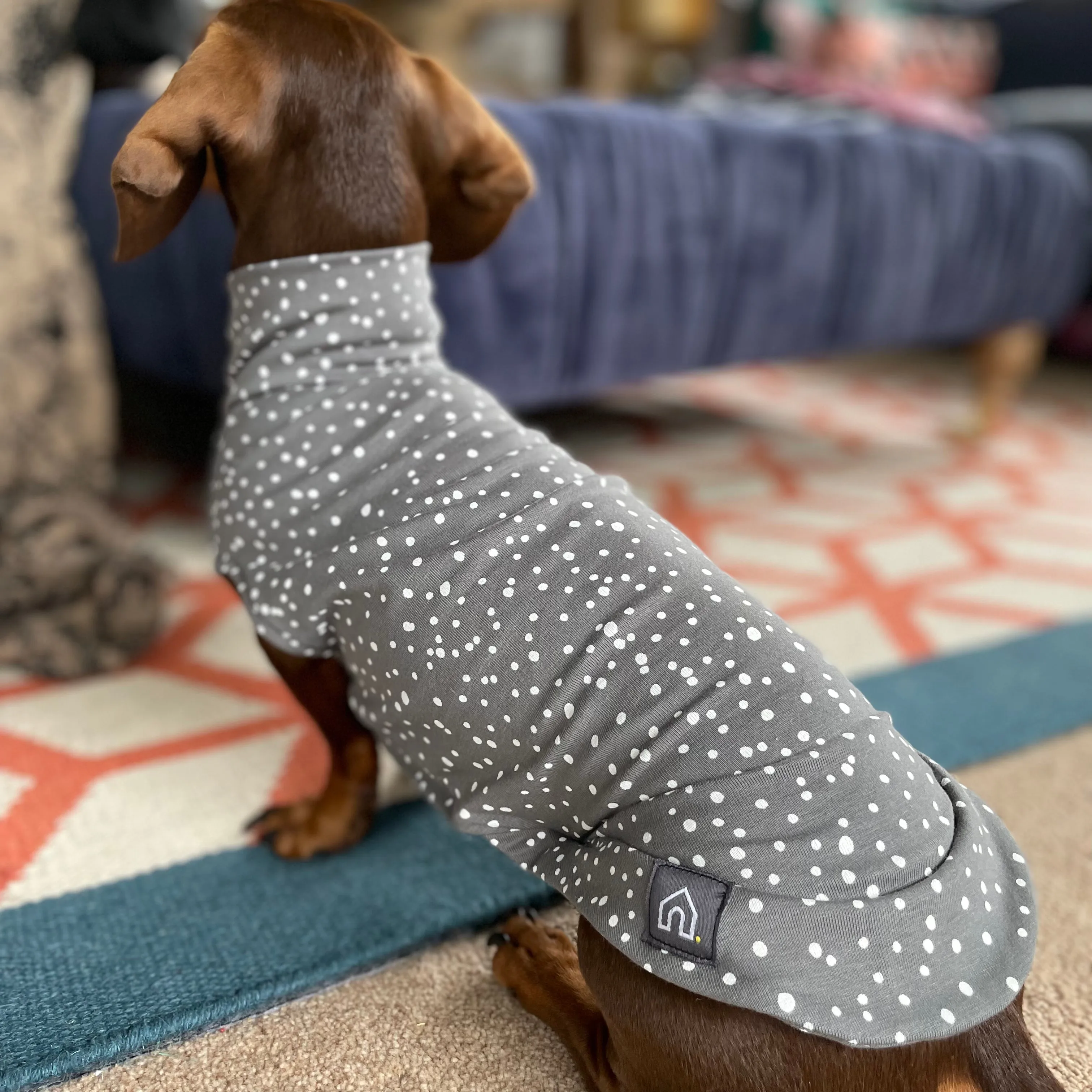 Spotty T-Shirts for Dachshunds