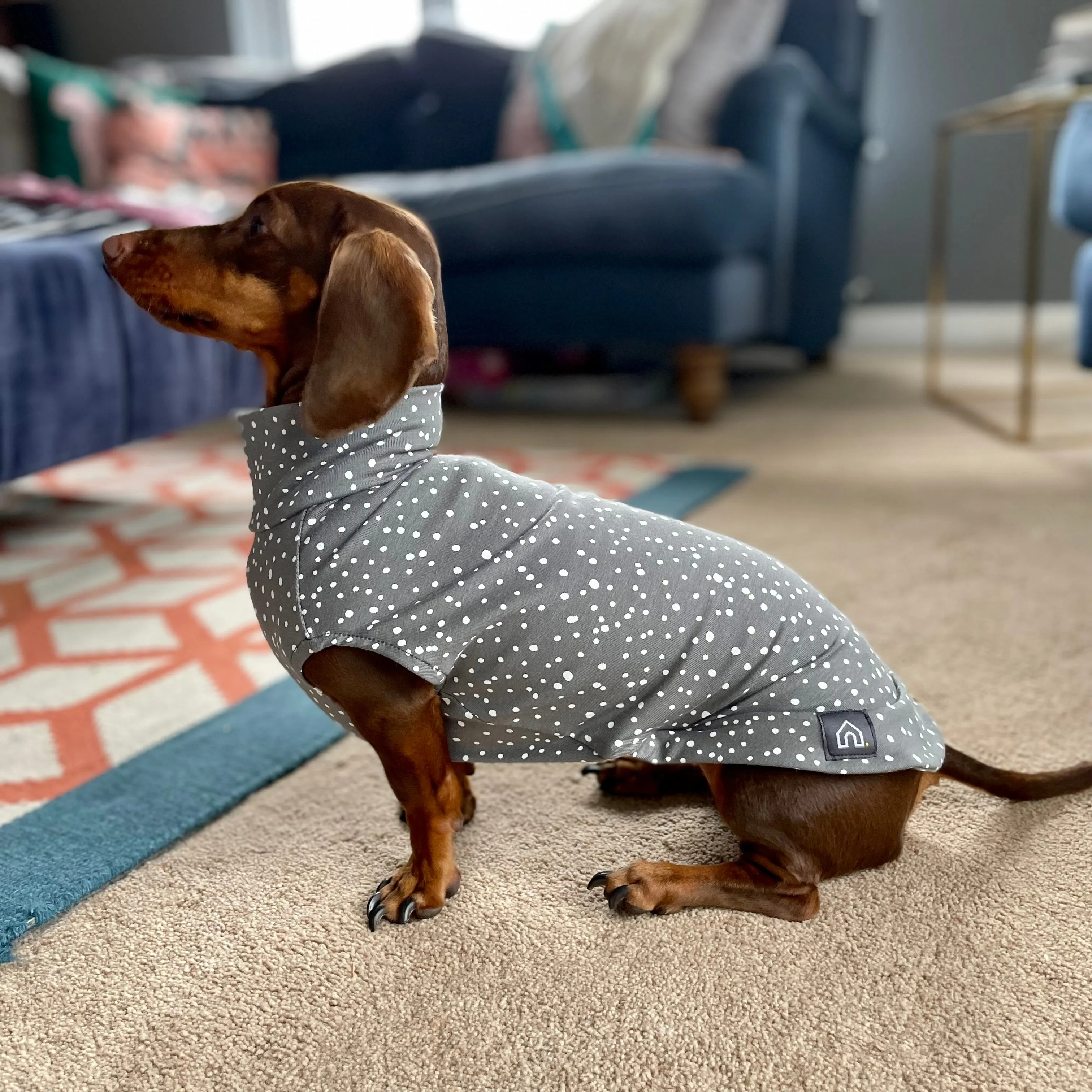 Spotty T-Shirts for Dachshunds