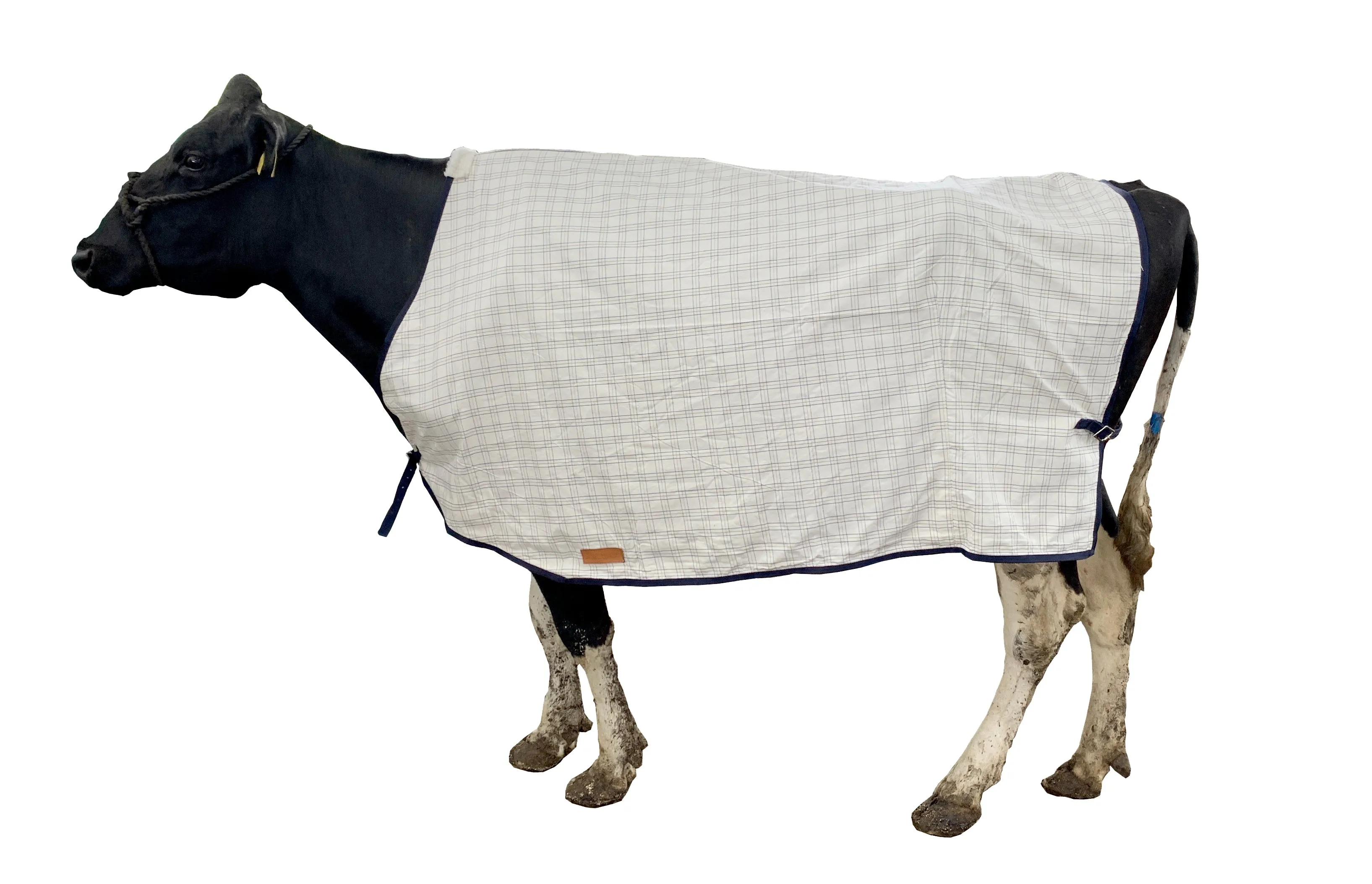 Summer Cow Cover | Travel, Show & Fly Protection